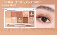 Clio Pro Eye Palette Autumn Breeze, Eye Makeup Beginners, Seoul Forest, Target Area, Autumn Palette, Autumn Breeze, Makeup Beginners, Eye Palette, Sparkles Glitter