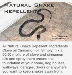 a snake that is laying on the ground next to a door with caption about it