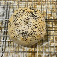 Bagel Bread Machine Recipe, Bagels Easy, Homestead Food