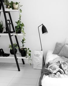 black and white photograph of a bedroom with plants on the shelf next to the bed