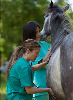 two women in scrubs petting a horse