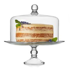 a cake under a glass dome with blueberries on top