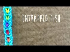 an image of a colorful bracelet with the words entrapped fish on it