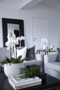 a living room filled with furniture and a flower pot on top of a coffee table