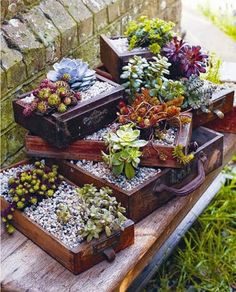 several wooden boxes filled with succulents sitting on top of a wooden table