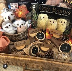 an owl baby's first birthday gift in a basket with owls and pine cones