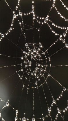 water drops on the web in front of a black background with an image of a spider's web