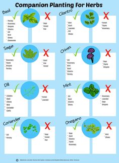 the different types of plants that are used to help plant growth and care for herbs