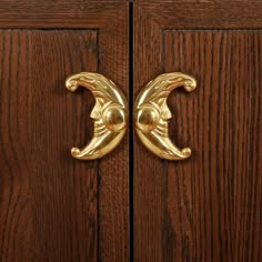 two golden handles are on the wooden door