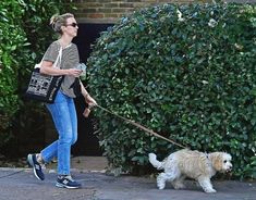 a woman walking her dog on a leash in front of some bushes and shrubbery