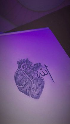 a drawing of a human heart in purple light