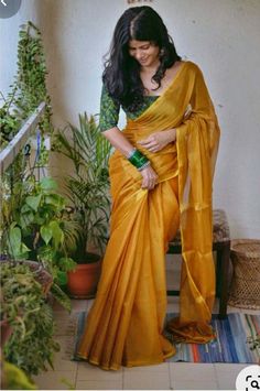 Bride Sari, Chakori Ethnic, Trending Sarees, Saree Ideas, Saree Blouse Styles, Indian Sari Dress, Khadi Saree