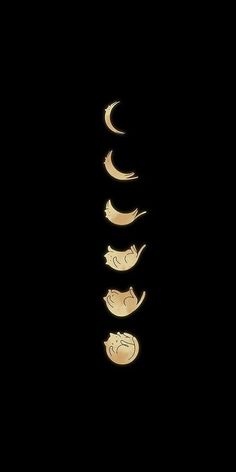 the moon and crescent phases are shown in this dark photo, with one half lit up