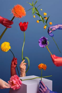 several hands reaching for flowers in a box