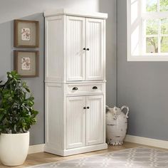 a white cabinet sitting next to a potted plant