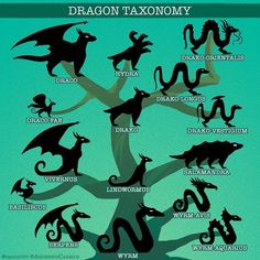 a tree with many different types of animals on it and the words dragon taxionymy