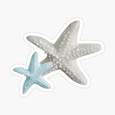 two starfish stickers sitting next to each other