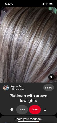 Dark Hair To Hide Gray, Highlights To Blend Gray Hair Brunettes, Hide Gray Hair With Highlights Brunettes, Ash Highlights, Highlights On Dark Hair, Brown Lowlights, Grey Hair Color Silver, Blonde Highlights On Dark Hair