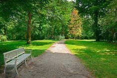 a white bench sitting on top of a dirt road in the middle of a park