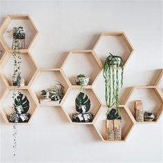 hexagonal wooden shelves with plants on them