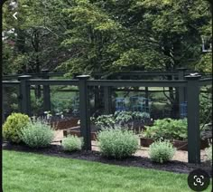 a fenced in garden area with various plants