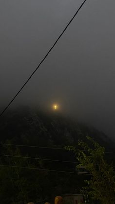 some animals are standing in the dark on a foggy night with light shining down