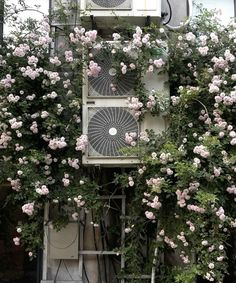 an air conditioner sitting on top of a building surrounded by flowers and greenery