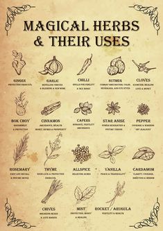 Herbs And Their Uses, Witchy Kitchen, Materi Bahasa Jepang, Magickal Herbs, Magic Spell Book