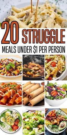 the cover of the book 20 struggle meals under $ 1 per person, with pictures of different types of food