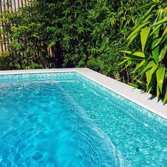 an empty swimming pool surrounded by greenery and blue water in the middle of a backyard