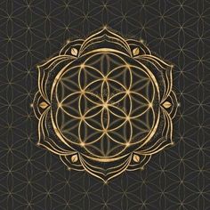 the flower of life is shown in gold on black