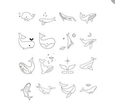 an image of various animals drawn on paper with marker pens and markers, including one whale, the other dolphin