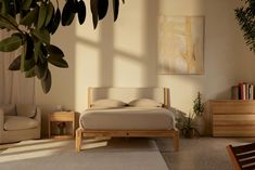 a bed sitting in the middle of a living room next to a chair and potted plant