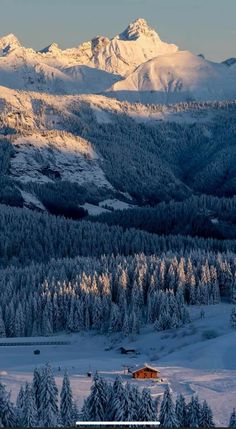 the mountains are covered in snow with trees on each side and a cabin at the bottom