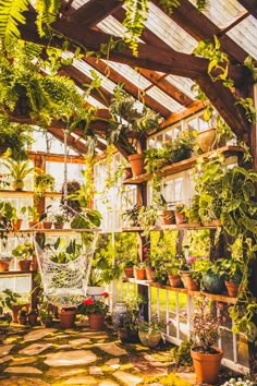 an indoor greenhouse filled with potted plants and hanging chairs