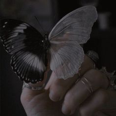 a person holding a butterfly in their hand