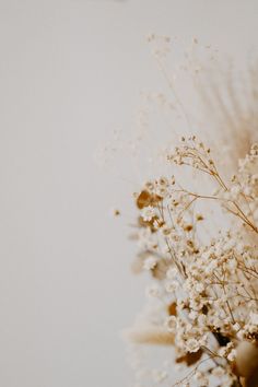 some white flowers in a vase on a table