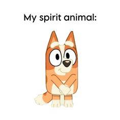 an orange and white cat with the words, my spirit animal