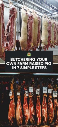 butchering your own family's meat in 7 simple steps