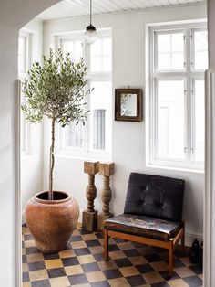 a potted plant sitting on top of a checkered floor next to a chair