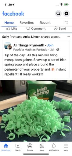 a pile of green noodles sitting on top of a table