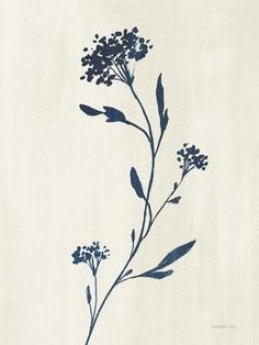 a blue flower on a white background