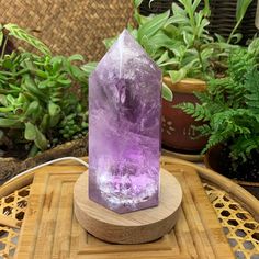 Introducing the "Crystal Mood Light Base + Amethyst Large Generator". This enchanting set combines the power of crystal light and the allure of dreamy Amethyst, creating a captivating dance that reveals the hidden beauty and enchanting energies of these precious gemstones. 💚Amethyst - Crystal of Tranquility, Intuition & Protection 💚With this Crystal Mood Light Base, watch in awe as the shimmering light dances upon your precious gems, revealing their hidden beauty and igniting their enchanting Crystal Centerpieces, Mood Lights, Shimmer Lights, Hidden Beauty, Light Amethyst, Mood Light, Crystal Light, Precious Gems, Guided Meditation