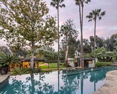 an outdoor swimming pool surrounded by palm trees and other greenery in front of a house