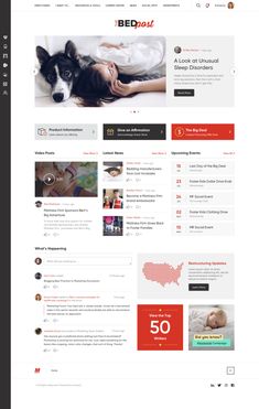 an image of a website page with a dog on the front and back pages in red