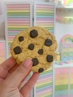 a hand holding a chocolate chip cookie