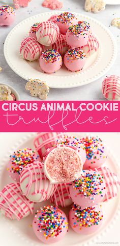 pink and white cookies with sprinkles are on a plate next to the words circus animal cookie