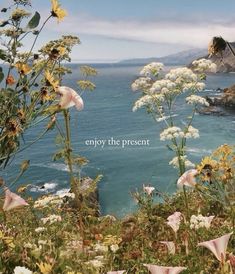 an image of flowers by the ocean with a quote on it that says enjoy the present