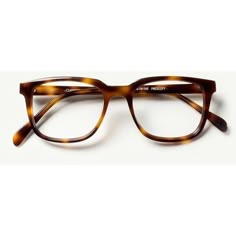 Tortoiseshell Glasses, Shell Glasses, Tortoise Eyeglasses, Glasses Frames For Women, Tortoise Shell Glasses, Tortoise Glasses, Cheap Ray Bans, Ray Ban Outlet