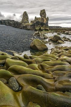 the rocks are covered in moss and water